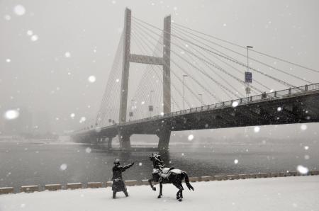       這是12月3日拍攝的吉林省吉林市臨江門大橋雪中景觀。